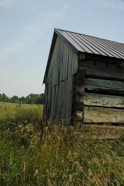 Buffalo Run Farm (7/2/2009 - Credits: A. Williams)