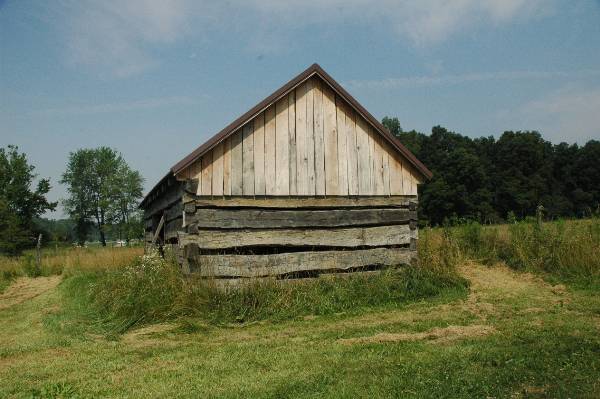 Buffalo Run Farm (7/2/2009 - Credits: A. Williams)